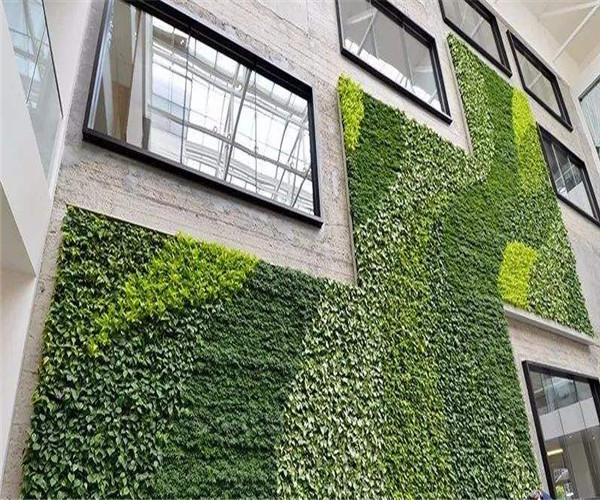 办公室植物墙供应商-广州新五线专做植物墙公司