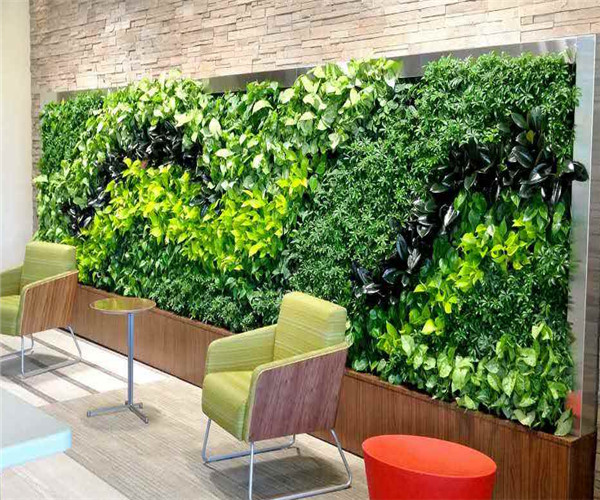 广州屋顶植物墙绿化设计安装仿真植物墙批发厂商