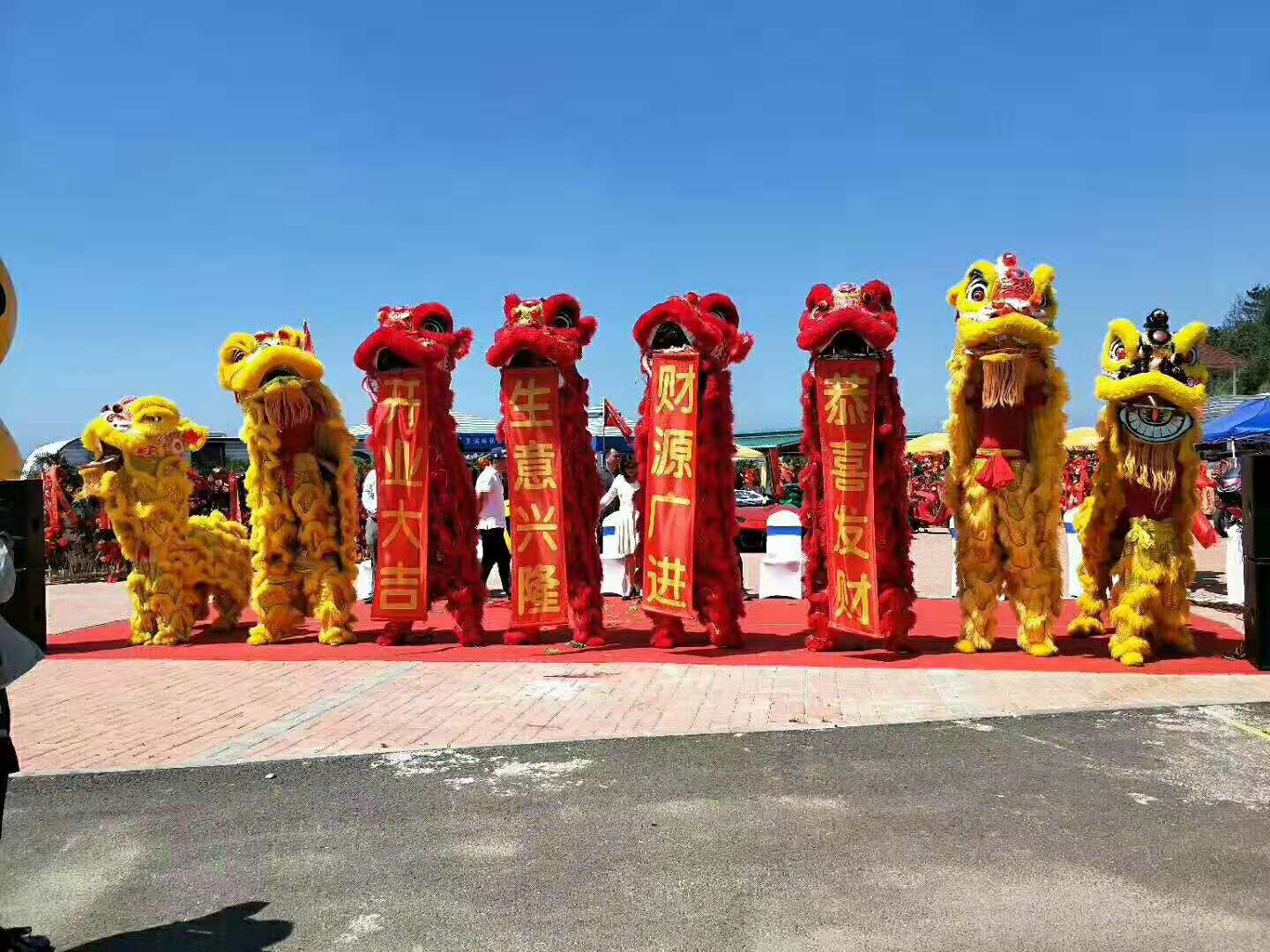 上海专业舞龙舞狮多少钱 
