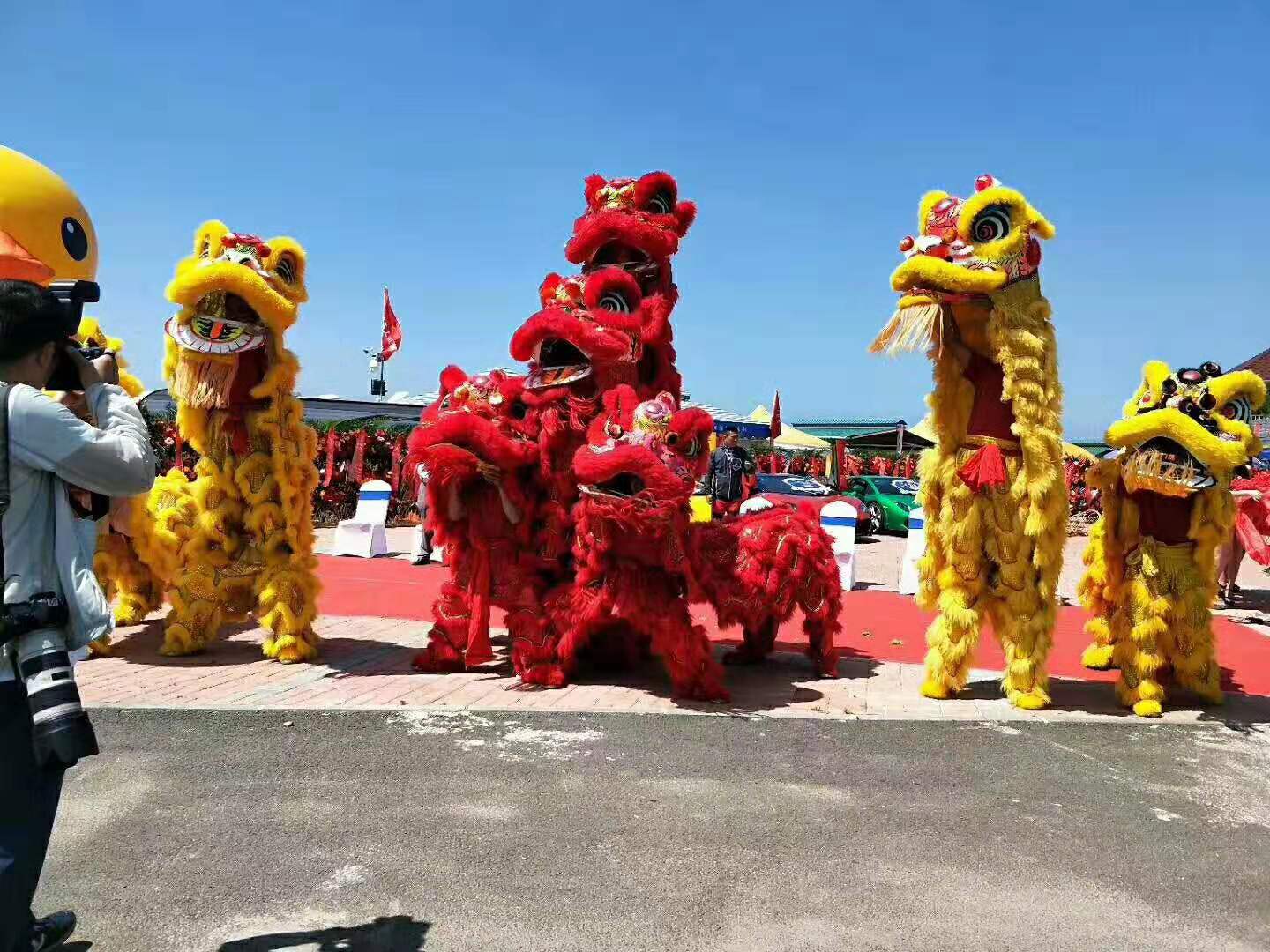 上海专业舞龙舞狮团队 