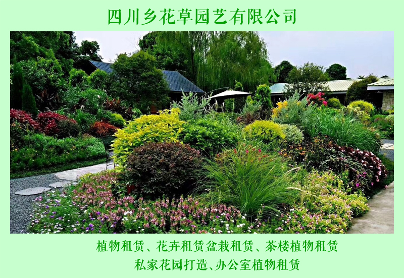 另外由于空间的限制,采用吊兰绿植也可增加绿化的层次感.