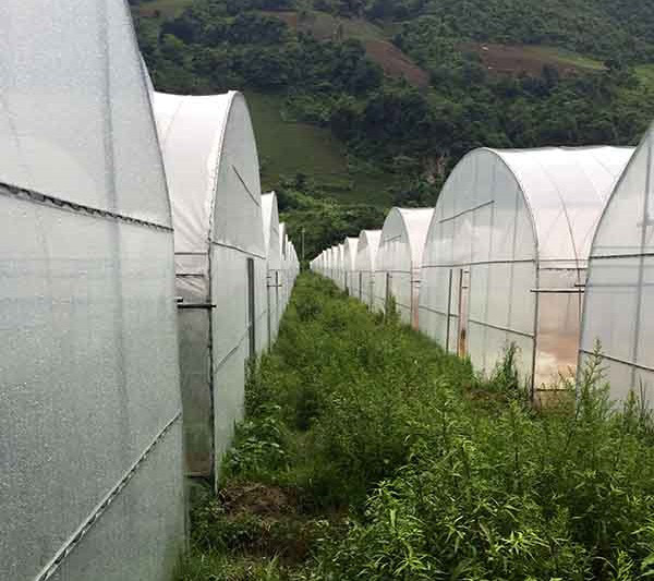 电补充车间内没有补水锅炉,温室大棚建设优惠价大豆温室冬暖夏凉;优惠