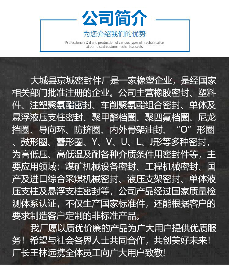 活塞导向环密封件厂家