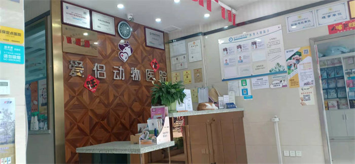 温江专业的宠物医院