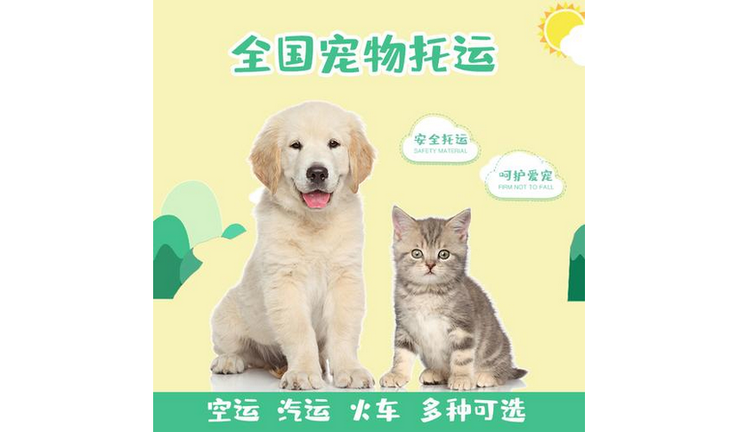 宠物托运公司乘高铁可以带狗吗猫可以寄快递吗