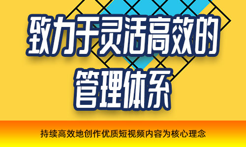 快手短视频账号代运营2022已更新(今天动态)