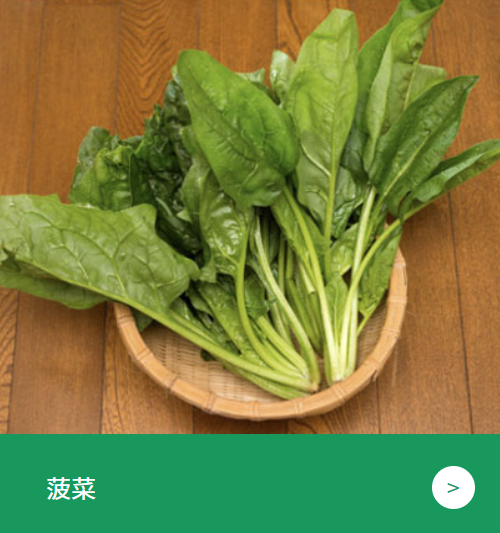 广西蔬菜种植2022已更新(今日/讯息)