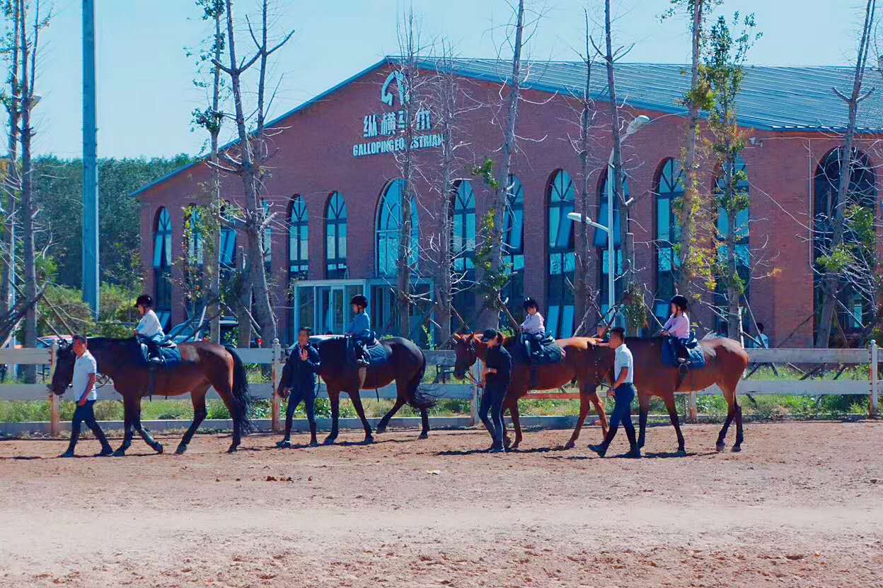 北京儿童骑马俱乐部图片