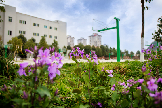 清镇市私立高中学校