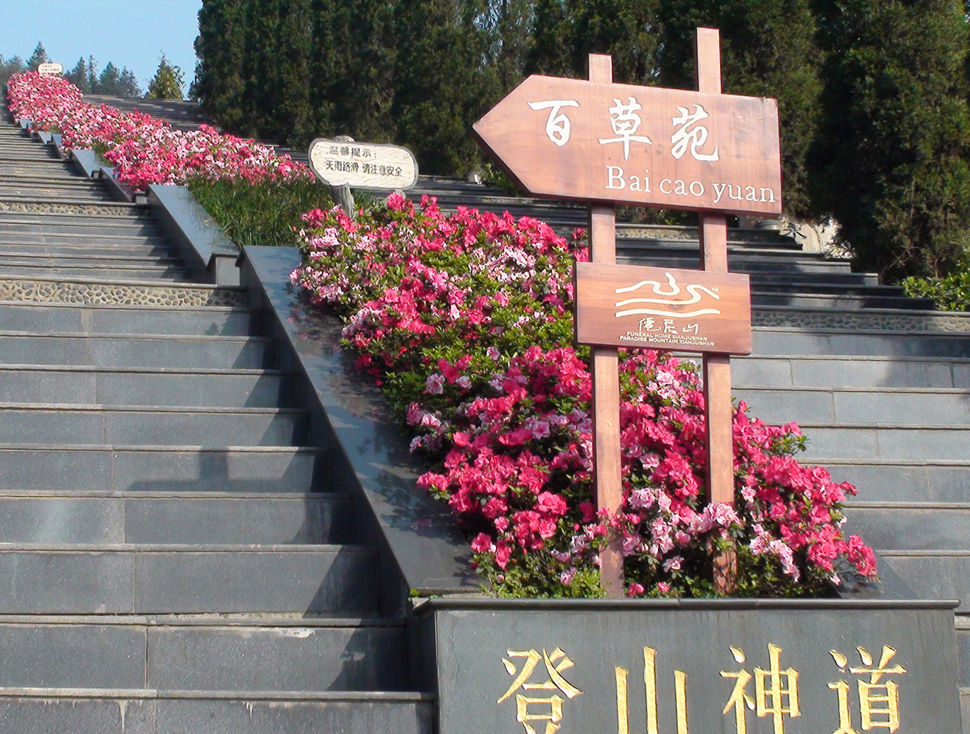 重庆明月陵园图片图片