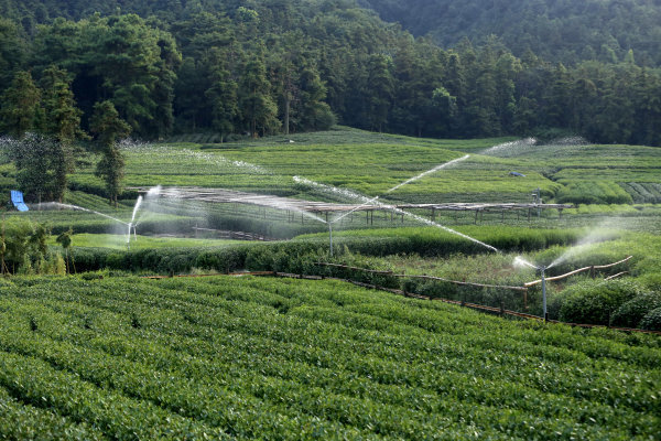 河南鹿邑县灌溉设施图片