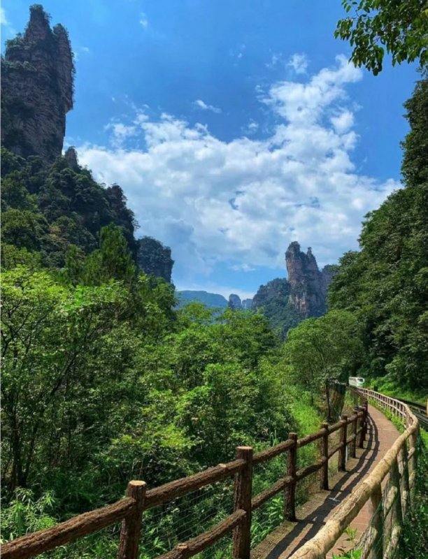 中游國際旅行社為您介紹湖北省麻城市去張家界自由行旅遊攻略與費用10