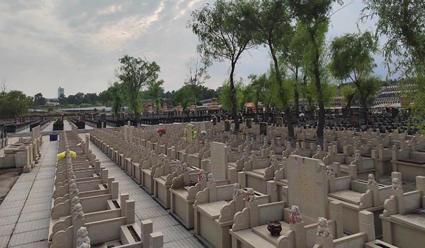 哈尔滨龙岗公墓图片